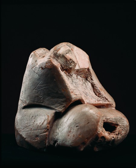 ACISCLO MANZANO